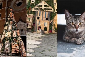 Кошки завладели рождественской елкой, установленной на площади в Италии