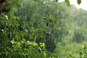 Душевные фотографии