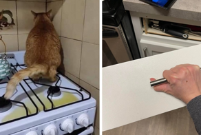 17  случаев, которые доказывают, что кухня — самая благоприятная среда для провалов