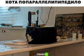 Просто выходной