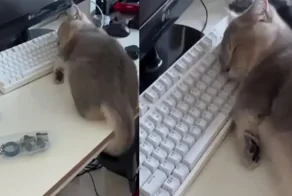 Состояние в последний рабочий понедельник 2024 года