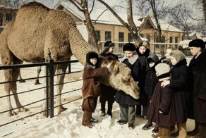 Жизнь Советской Москвы в 50-е годы