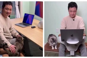 Компьютерный стул с дополнительным местами для питомцев