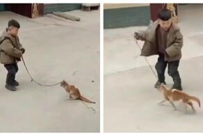 Маленький живодёр из Китая