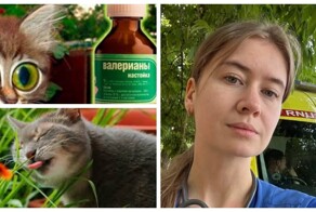 Фельдшер скорой помощи рассказала историю  о типичной кошатнице