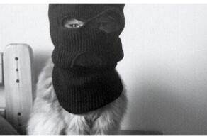 Шерстяную банду поймали на горячем