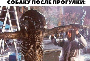 Доброго вечера среды!