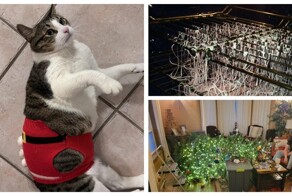 30 человек, которых настигли неудачи вместо рождественских чудес