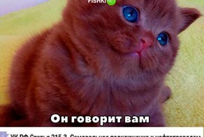 Уже почти Пятница !!!