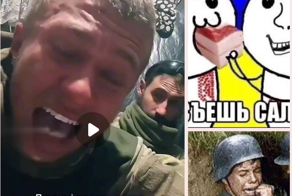 Хряк впал в истерику во время общения по видеозвонку со своей женой и её новым мужем из Польши