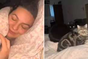 "Полная оккупация": женщина с четырьмя котами и собаками показала свою кровать ночью