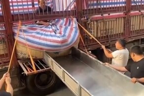 Разгрузка рыбы пошла не по плану