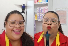 Кассирша дружит с крошечной птичкой колибри, прилетающей к ней в гости