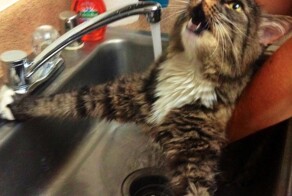 17 королей драмы, которые заслуживают оглушительных оваций