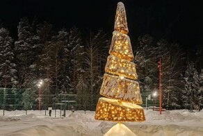 Ёлочка, гори! В Свердловской области сожгли ёлку фейерверком