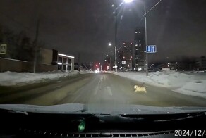 Будем надеяться, что у него всё хорошо