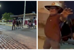 Питомец ведёт пьяного хозяина домой