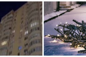В Подмосковье семейная пара выбросила наряженную елку из окна 17-го этажа