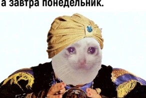 Депутат предложил запретить в СМИ упоминать астрологов и гадалок