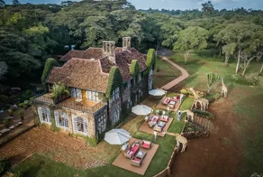 Африканское поместье редких длинношеих животных