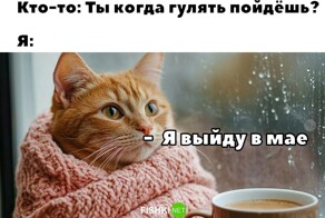 Встречаем первый понедельник в этом году с улыбкой