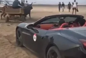 Застрявший в песке суперкар Ferrari вытаскивала пара волов