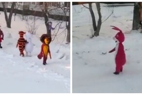 Такое не каждый день увидишь