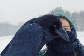 На общую тему 