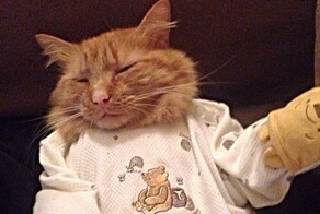 25+ ценителей вечерней моды, которых нарядили в пижамы против их воли