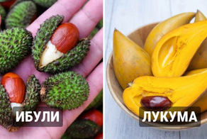 15  редких, но съедобных плодов, о существовании которых вы, вероятно, никогда не слышали
