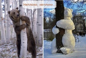 Весёлые картинки