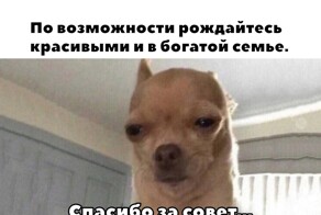 Не ищите здесь смысл. Здесь в основном маразм
