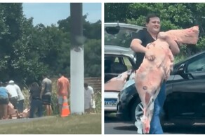 Мародеры украли пять тонн мяса из опрокинувшегося грузовика
