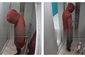В Новосибирске мужчина избил свою собаку в лифте