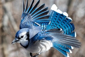 На общую тему&nbsp;