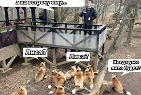Не ищите здесь смысл. Здесь в основном маразм