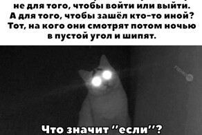 Всячина в Понедельник