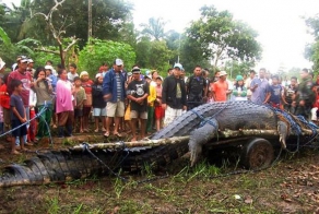 Открытия 2012 года (20 фото)