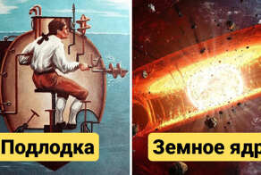 10  рисунков, которые показывают, как разные объекты выглядят в разрезе