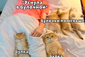 Скрины из соцсетей            