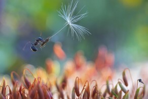 Всё вразнобой&nbsp;