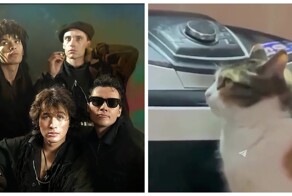 Пушистая фанатка группы Кино