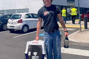 Забытый в грузовом отсеке самолета котик совершил три перелета за сутки