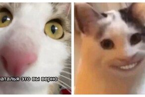 Общение Натальи с сотрудницей банка