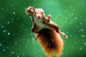 На общую тему&nbsp;