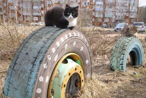 Всё вразнобой&nbsp;