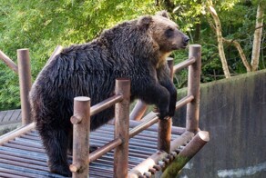 Фото настроение