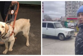 В Анапе женщина напала на слепую девушку с собакой-поводырем
