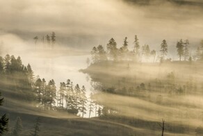 Дикая природа России