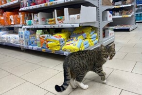 20 смешных покупателей, которые ведут себя в магазинах образцово и не очень